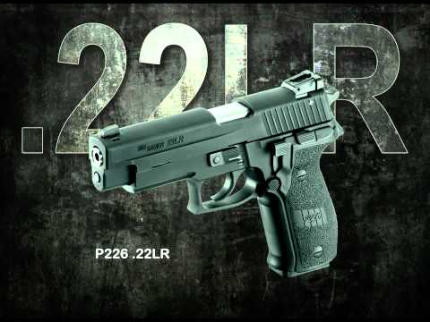 2011 Sig Pistols