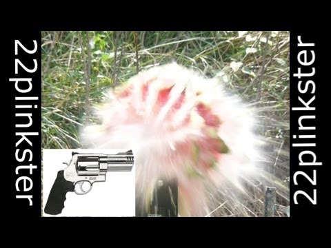 500 Smith & Wesson vs Watermelon