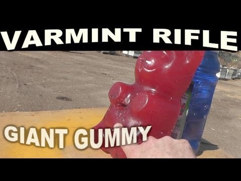 Giant Gummy Bear vs .204 Ruger Bullet