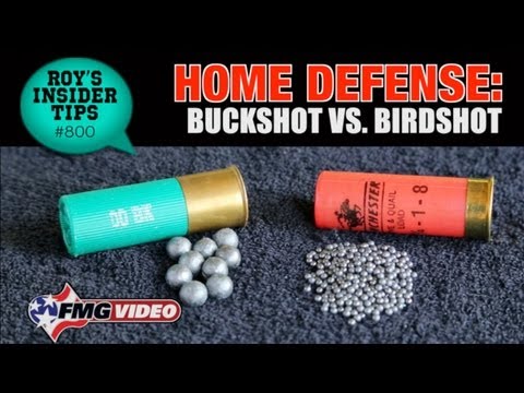 Home Defense - Buckshot vs Birdshot