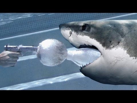 Slow Motion Underwater Guns - Shark Ammo