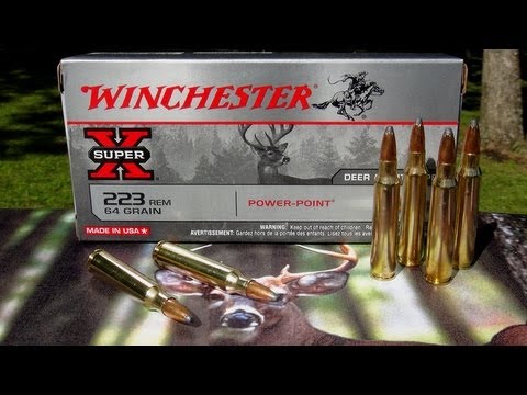 Ammo Review - 223 Winchester 64 gr Power-Point