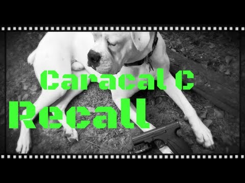 Caracal C Recall