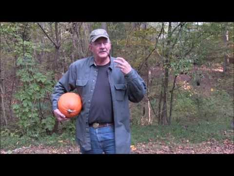 Pumpkin Killing Methods IV