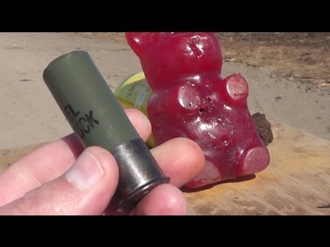 12 ga Military 00 Buckshot vs 5 lb Gummy Bear