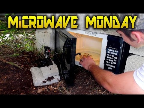 22LR Ammo in a Microwave