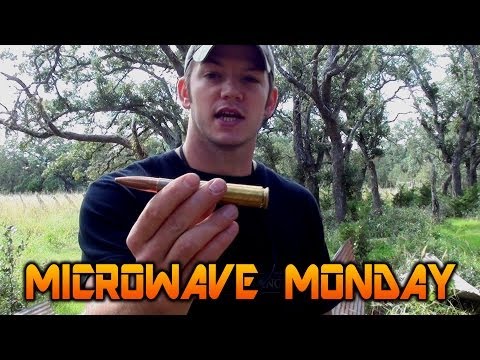 50 Caliber Ammo in a Microwave