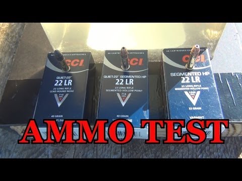 CCI 22LR Ammo Test