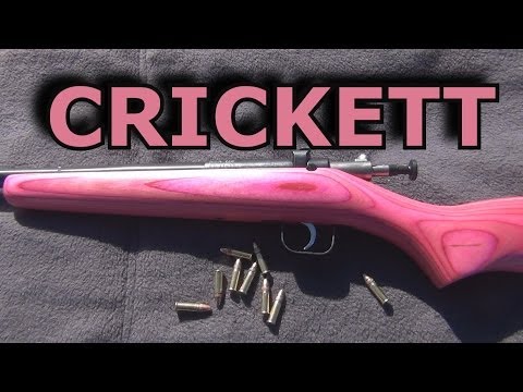 Crickett Rifle