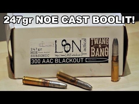 Handloaded 300 AAC Blackout