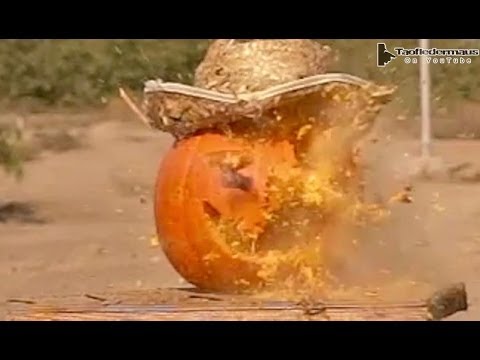 Military Grade 00 Buckshot vs Pumpkin