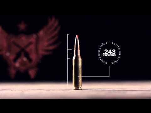 Silencerco New Products Teaser