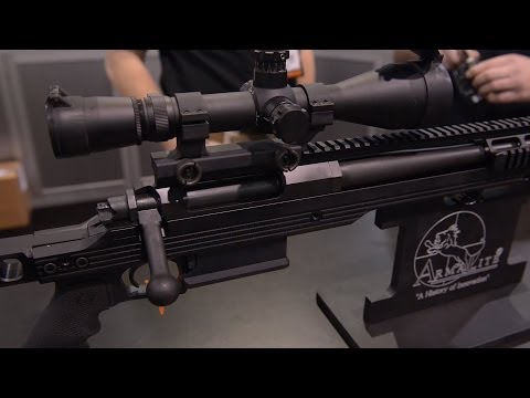 ArmaLite AR-31 Rifle