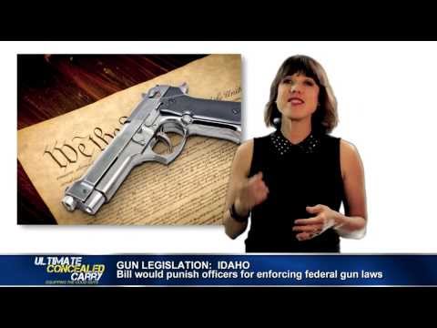 Concealed Carry News – Pro-Gun Legislation