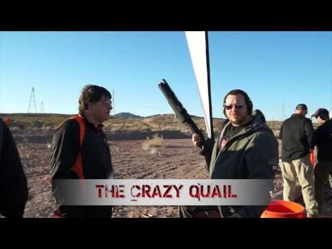 Crazy Quail Live Bird Shooting Simulator