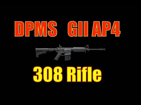 DPMS GII 308 Rifle