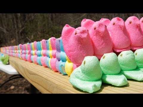 .50 Caliber vs Peeps