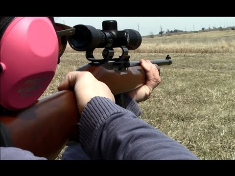 Ruger 10/22 Rifle at 100 Yards