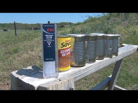 22LR vs Cans of Refried Beans