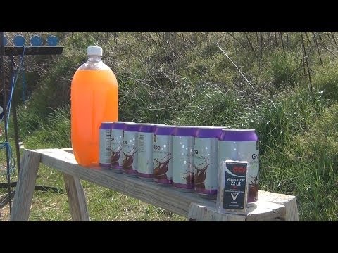 22LR vs Soda Cans