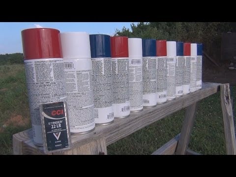 22LR vs Spray Paint Cans