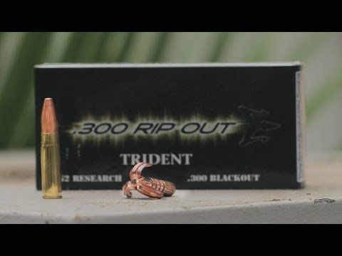 300 Trident Ammo