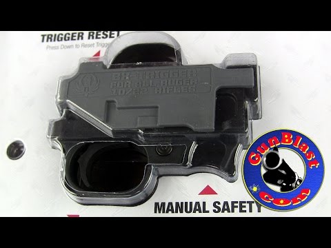 Ruger BX-Trigger