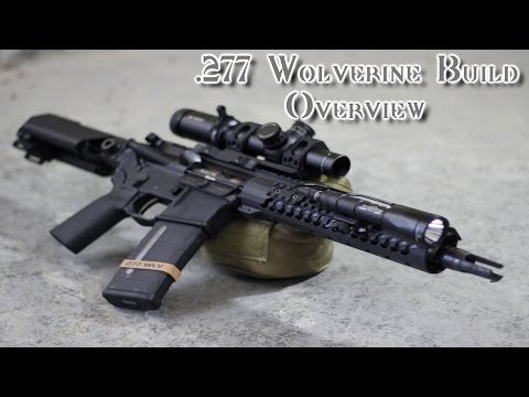 277 Wolverine Build