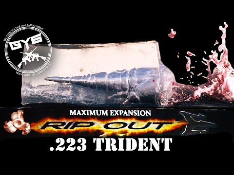 223 RIP OUT Trident Ammo Test