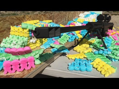 Barrett M82A1 50 Cal vs Peeps