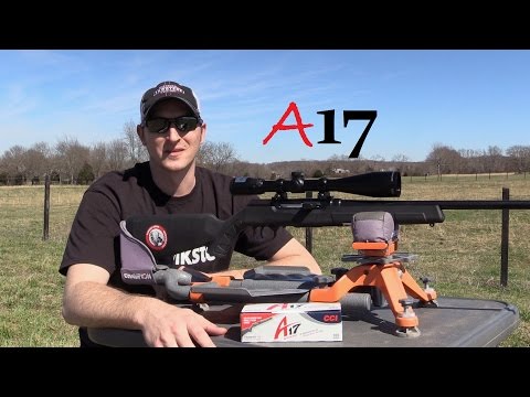 Savage A17 Rifle