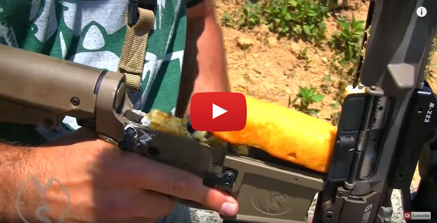 AR-15 Rifle vs Twinkies