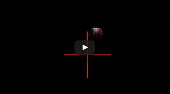 Unidentified Flying Object Recorded with ATN X-Sight