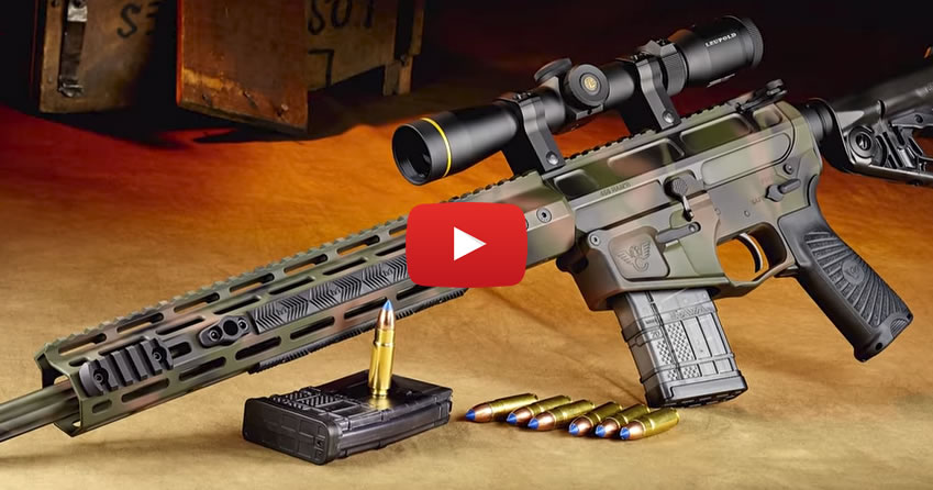 Wilson Combat AR Carbines in 458 HAM'R